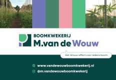 Boomkwekerij M.van de Wouw