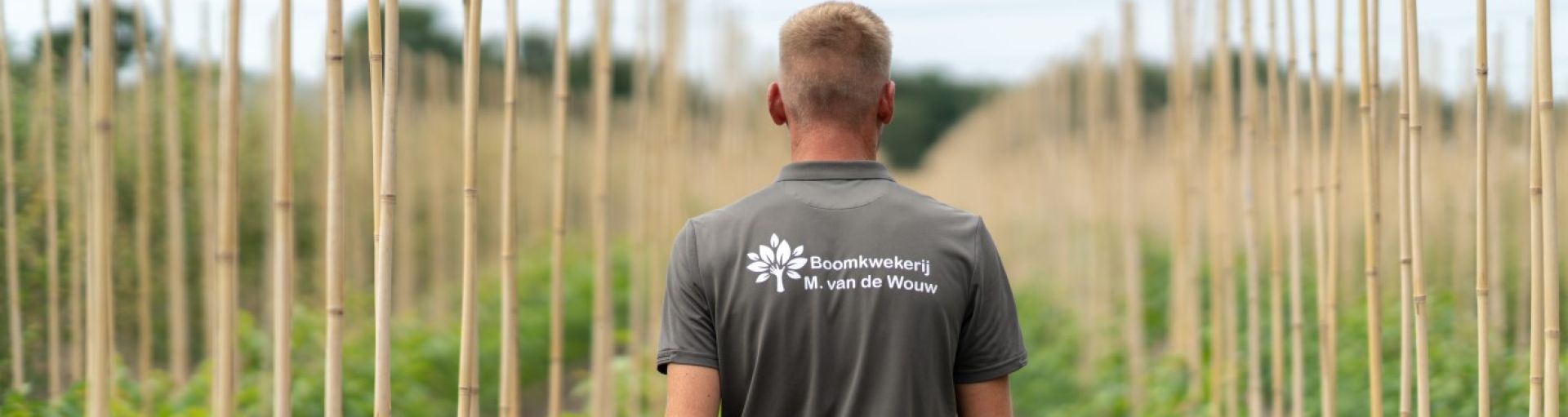 Boomkwekerij M. van de Wouw